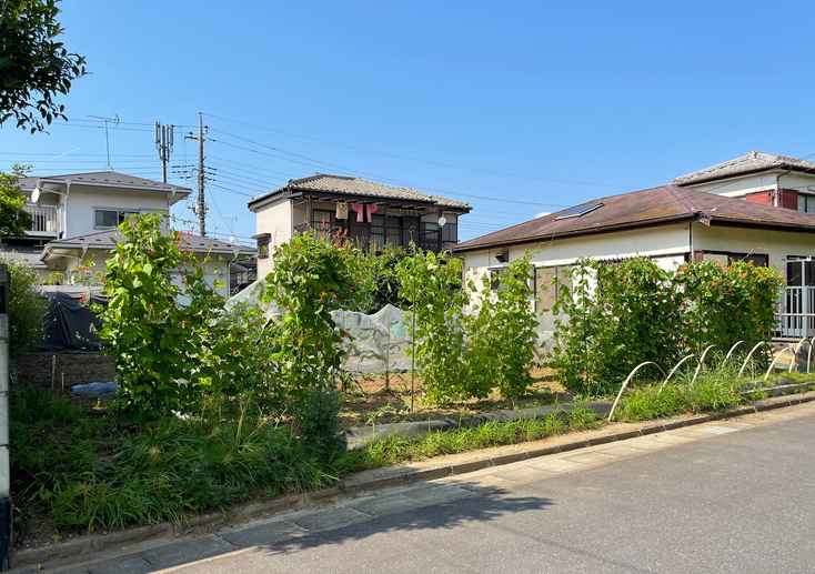 Scenery (in the Kanto region)